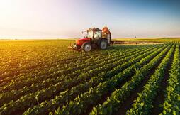 �˹������������������